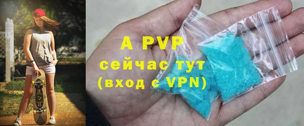 PSILOCYBIN Иннополис