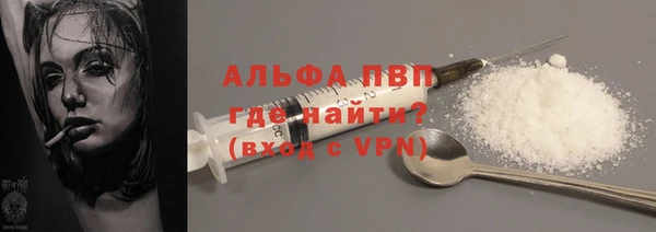 PSILOCYBIN Иннополис
