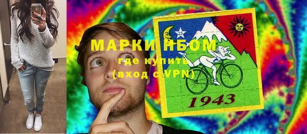гашик Зеленокумск