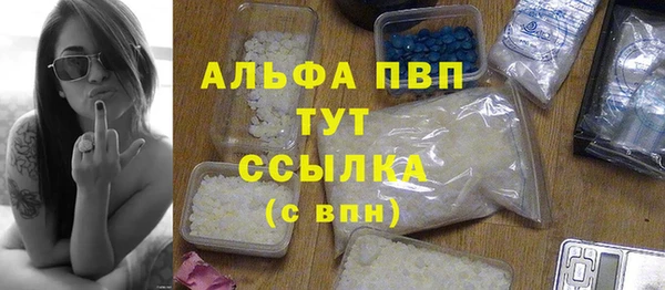 PSILOCYBIN Иннополис