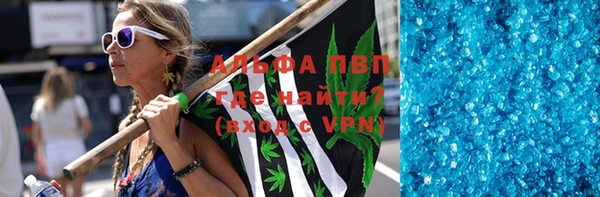 PSILOCYBIN Иннополис