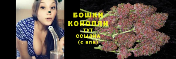PSILOCYBIN Иннополис