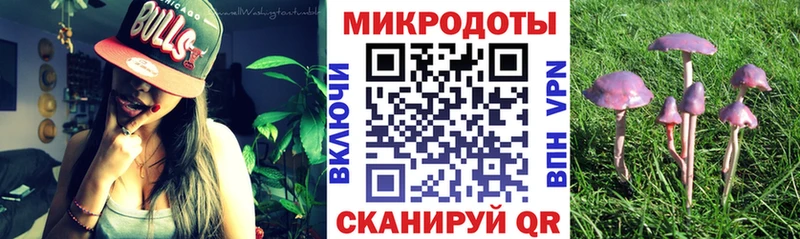 Купить  Дмитровск  Галлюциногенные грибы MAGIC MUSHROOMS 